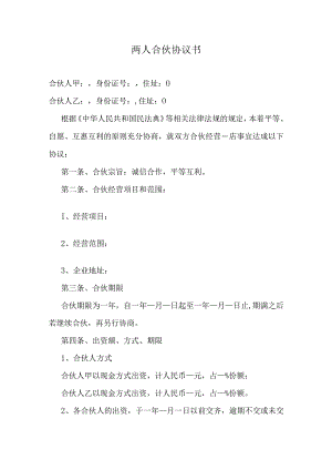 两人合伙协议书.docx