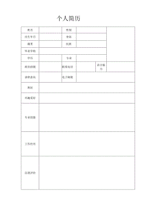 个人空白简历标准表(28).docx