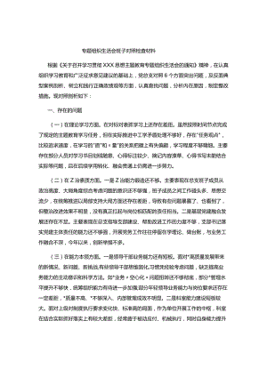 专题组织生活会班子对照检查材料.docx