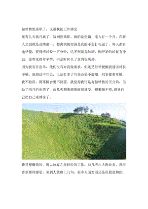 做销售想离职了说说我的工作感受.docx