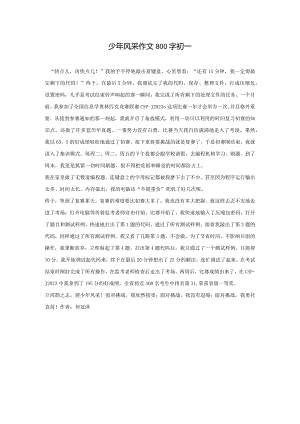 少年风采作文800字初一.docx
