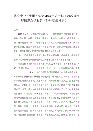 国有企业（集团）党委2023年第一批主题教育开展情况总结报告（经验交流发言）.docx