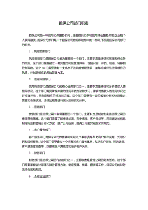 担保公司部门职责.docx