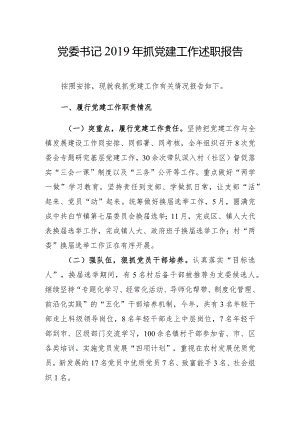 党委书记2019年抓党建工作述职报告.docx