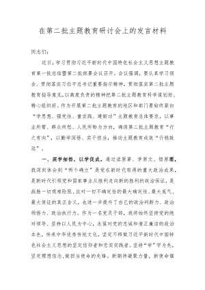在第二批主题教育研讨会上的发言材料.docx