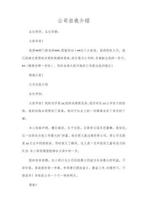 公司自我介绍.docx