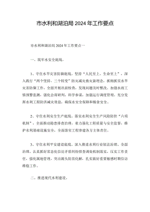 市水利和湖泊局2024年工作要点.docx