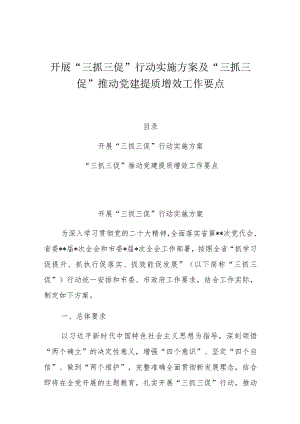开展“三抓三促”行动实施方案及“三抓三促”推动党建提质增效工作要点.docx