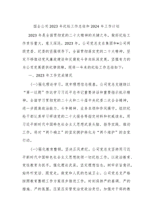 国企公司2023年纪检工作总结和2024年工作计划.docx