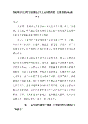 在村干部培训班专题研讨会议上的讲话提纲（党建引领乡村振兴）.docx
