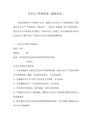 安全生产管理体系(最新范本).docx