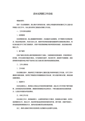 店长试用期工作总结.docx