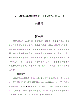 关于2023年度耕地保护工作情况总结汇报共四篇.docx
