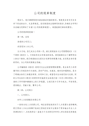 公司的规章制度.docx
