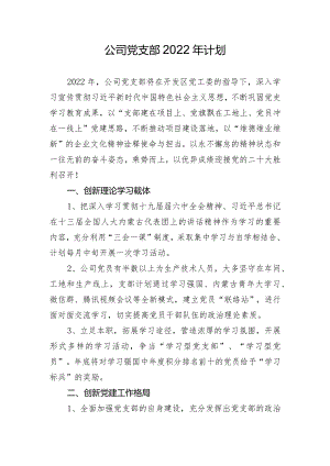 公司党支部2022年计划.docx