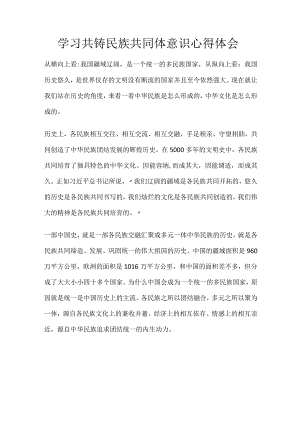 学习共铸民族共同体意识心得体会.docx