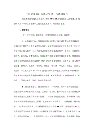 公司党委书记抓基层党建工作述职报告.docx
