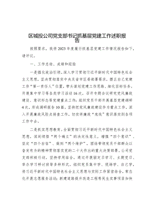 区城投公司党支部书记抓基层党建工作述职报告.docx
