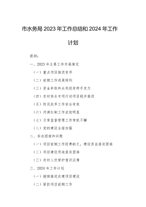 市水务局2023年工作总结和2024年工作计划.docx