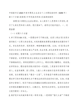 市委副书记2023年度专题民主生活会个人对照检查材料（践行宗旨等6个方面+政绩观+中华民族共同体+反面典型案例）.docx