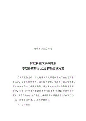 师庄乡重大事故隐患整治方案.docx