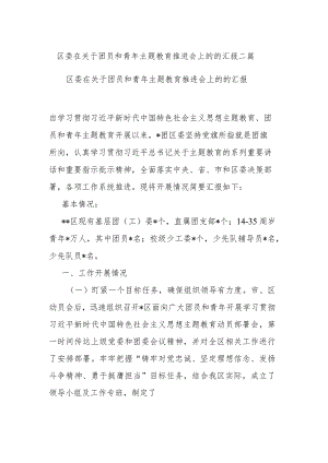区委在关于团员和青年主题教育推进会上的的汇报二篇.docx