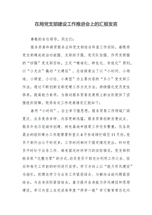 在局党支部建设工作推进会上的汇报发言.docx