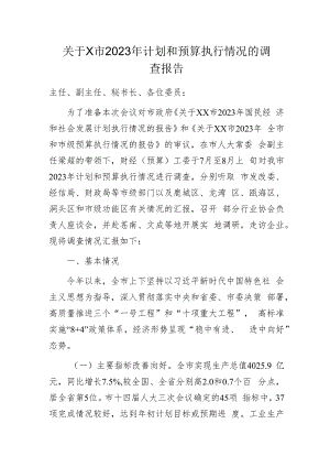 关于X市2023年计划和预算执行情况的调查报告.docx