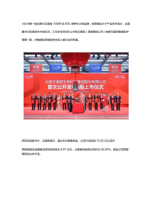 国货敏感肌护理第一股--薇诺娜的小红书品牌营销日记.docx