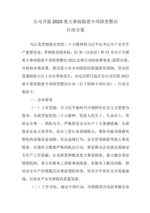 公司开展2023重大事故隐患专项排查整治行动方案.docx