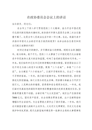 在政协委员会会议上的讲话.docx