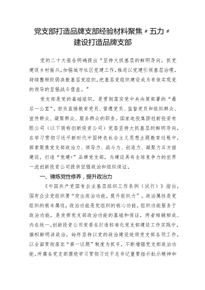 党支部打造品牌支部经验材料：聚焦“五力”建设打造品牌支部.docx