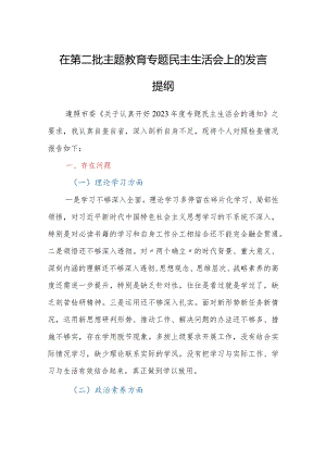 在第二批主题教育专题民主生活会上的发言提纲.docx