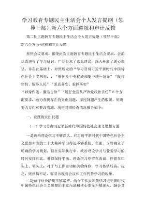 学习教育专题民主生活会个人发言提纲（领导干部）新六个方面巡视和审计反馈.docx