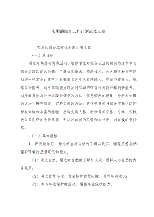 实用的综合工作计划范文三章.docx