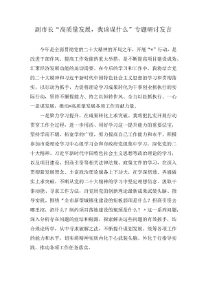 副市长“高质量发展我该谋什么”专题研讨发言（2篇）.docx