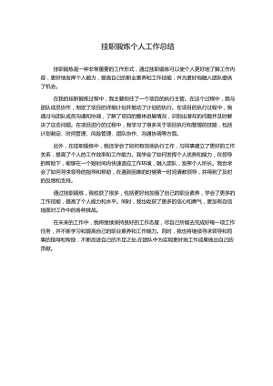 挂职锻炼个人工作总结.docx
