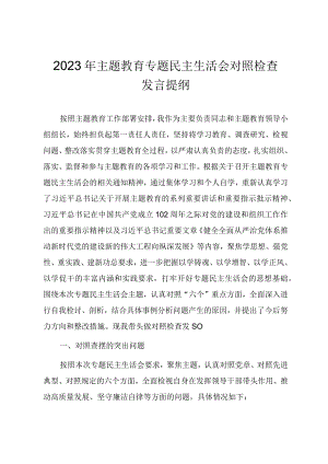 学习贯彻2023年主题教育专题民主生活会对照检查发言提纲（负责人）.docx