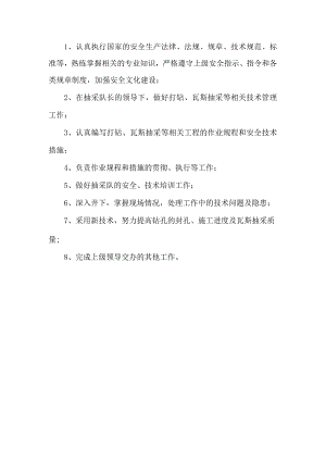 抽采队技术员岗位职责.docx