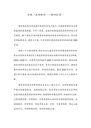 护航“良田粮用”“粮田良用”.docx