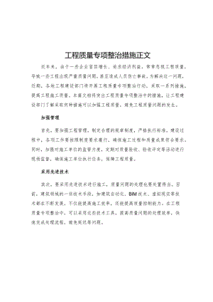 工程质量专项整治措施正文.docx
