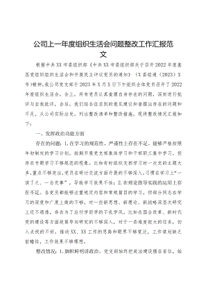 公司上一年度组织生活会问题整改工作汇报总结报告国有企业.docx