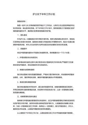 护士长下半年工作计划.docx
