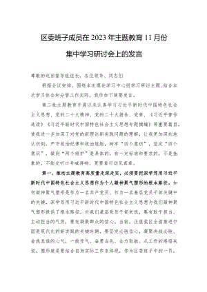 区委班子成员在2023年主题教育11月份集中学习研讨会上的发言.docx