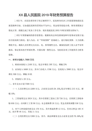 医院财务预算报告.docx