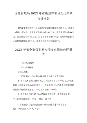应急管理局20XX年市级预算项目支出绩效自评报告.docx