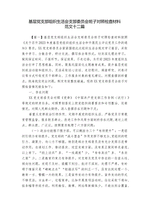 基层党支部组织生活会支部委员会班子对照检查材料范文十二篇.docx