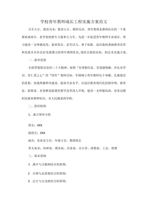 学校青年教师成长工程实施方案范文.docx