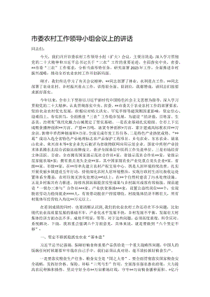 市委农村工作领导小组会议上的讲话.docx