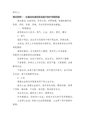 处置战伤通用紧急医疗救护保障预案.docx